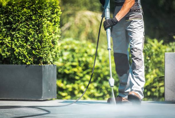 Best Dumpster Area Cleaning  in Plymouth, WI